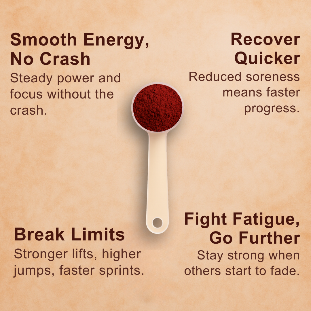 Stimulant-Free Beetroot Powder for Athletes and Gym Rats